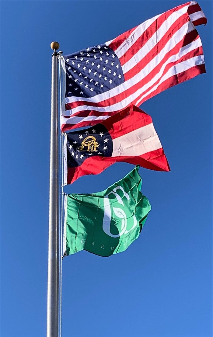 City Hall Flags