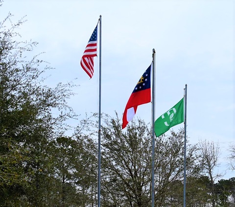 Flags