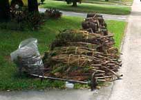Bundled sticks