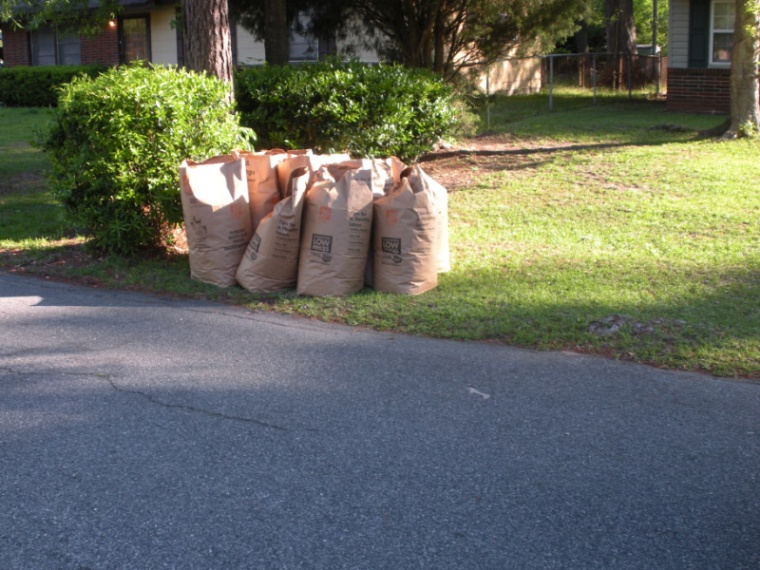 Bagged leaves