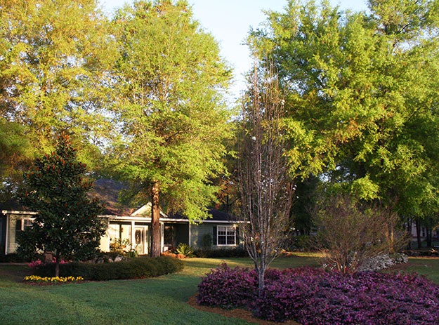 xeriscape 2