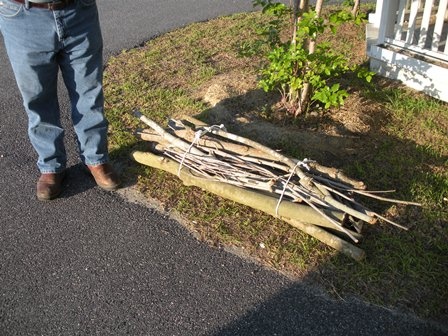 Bundled sticks and branches on curb