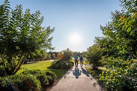 News Image, park